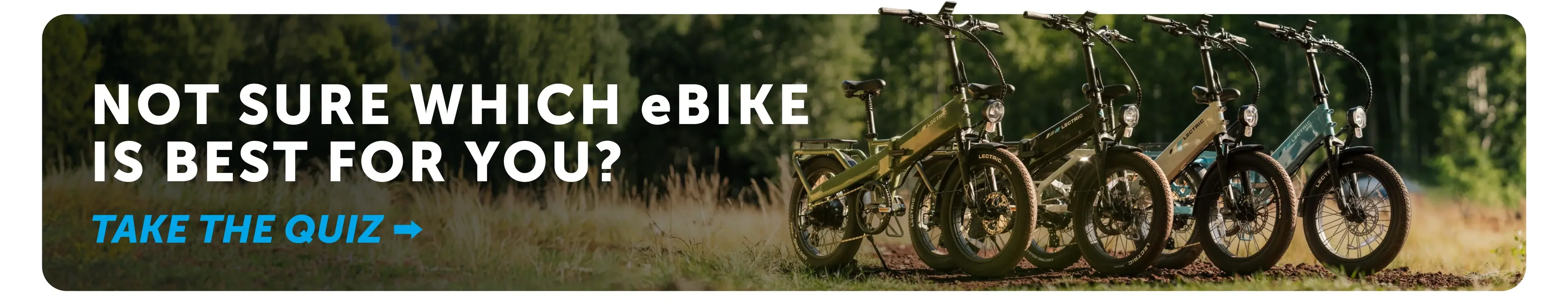 Ride the Lectric Revolution